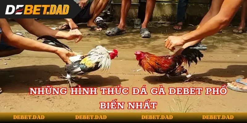 Những hình thức đá gà tại Debet phổ biến nhất Những hình thức đá gà tại Debet phổ biến nhất