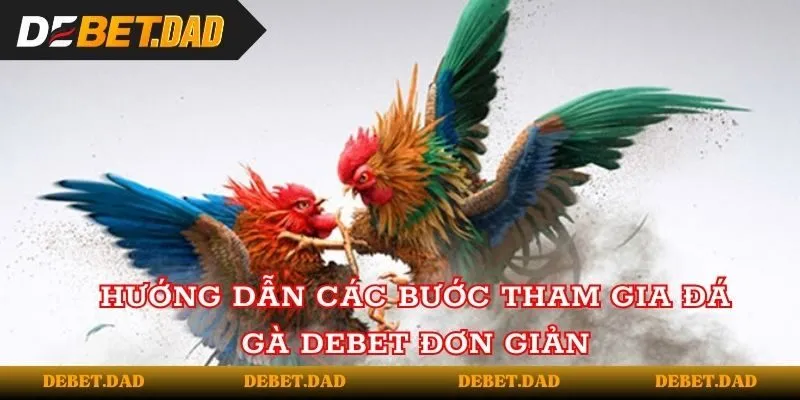 Hướng dẫn các bước tham gia đá gà tại Debet đơn giản Hướng dẫn các bước tham gia đá gà tại Debet đơn giản